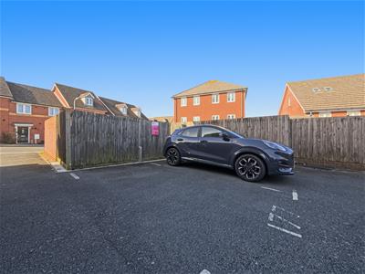 Picture 20